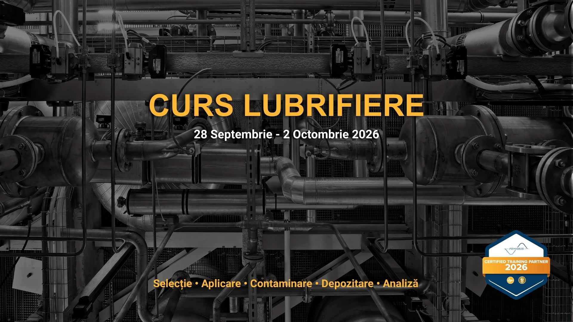 Curs FLCAT-I